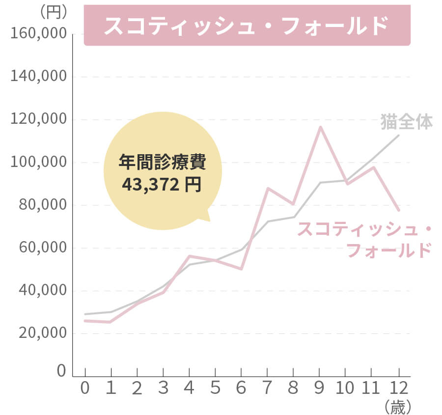 スコティッシュ・フォールドの生涯治療費