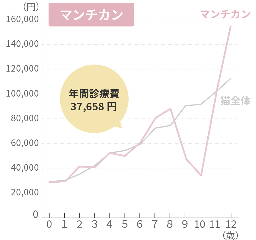 マンチカンの生涯治療費