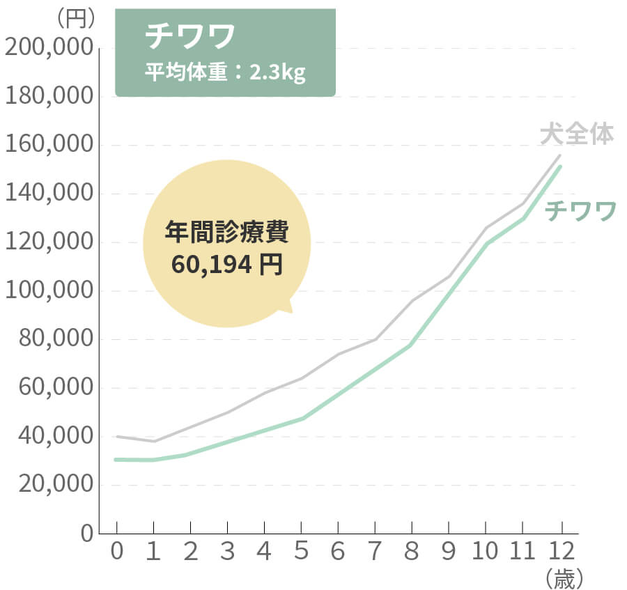 チワワの生涯治療費