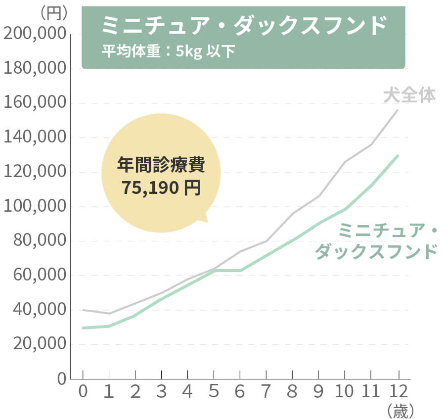 ミニチュア・ダックスフンドの生涯治療費
