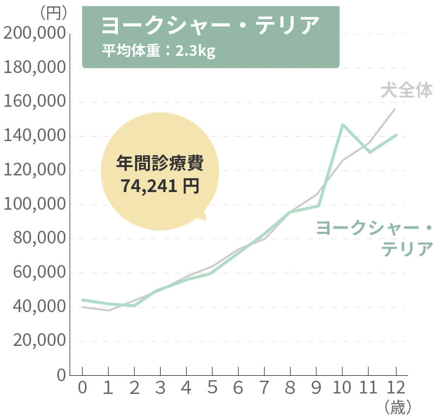 ヨークシャー・テリアの生涯治療費
