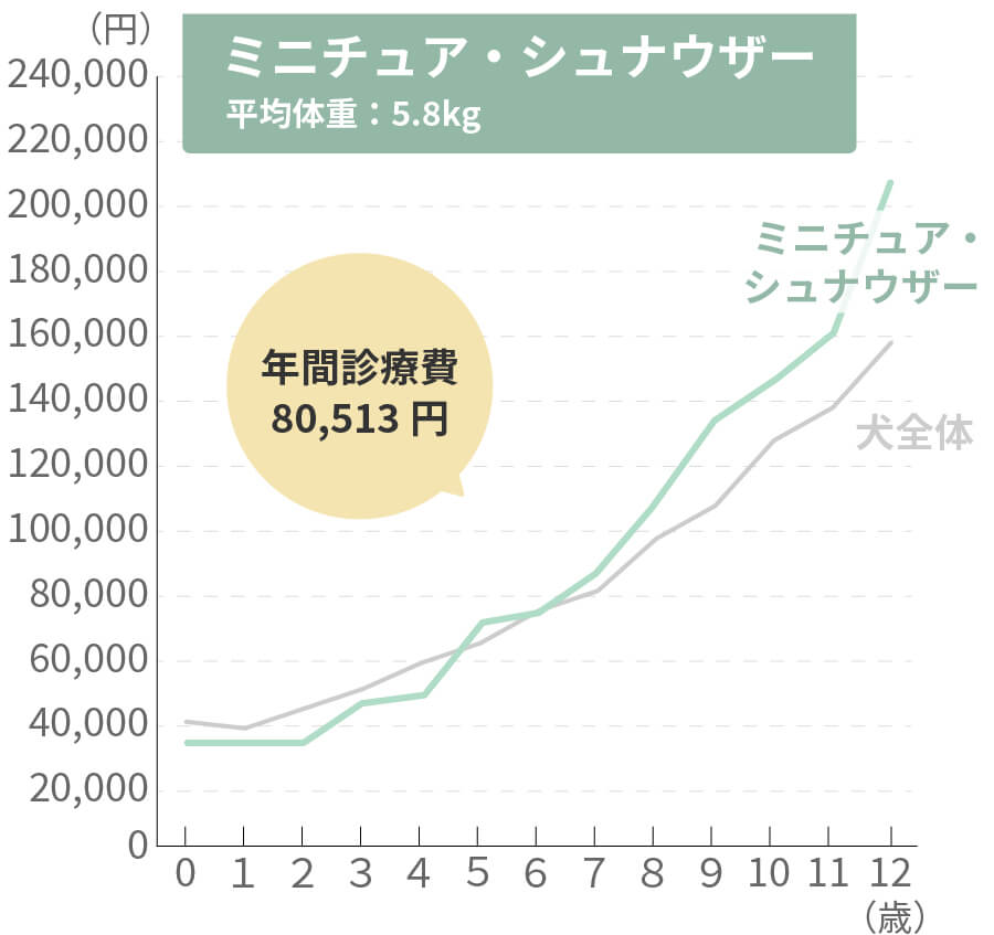ミニチュアシュナウザーの生涯治療費