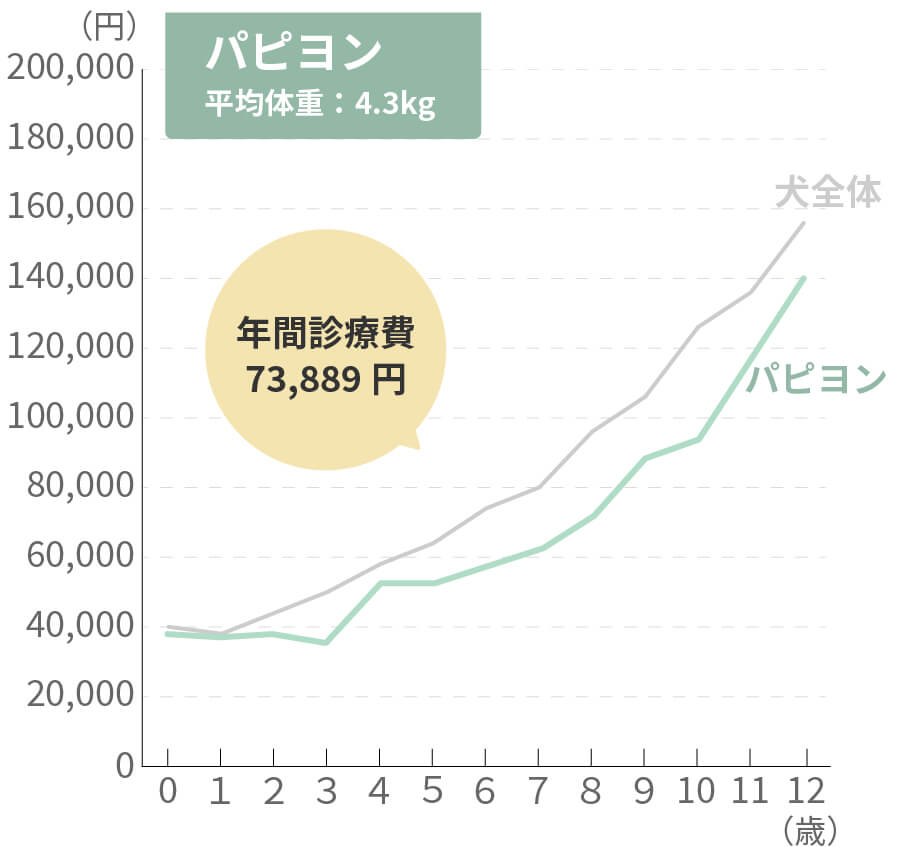 パピヨンの生涯治療費
