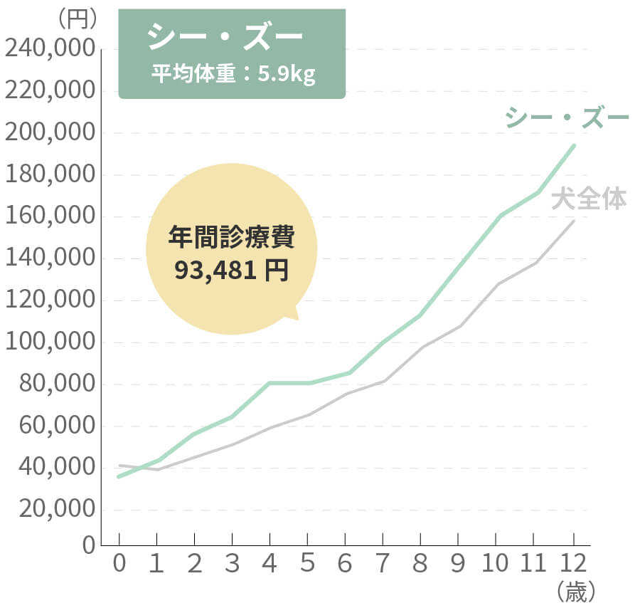 シーズーの生涯治療費