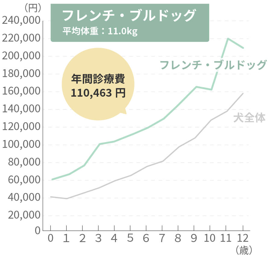 フレンチ・ブルドッグの生涯治療費