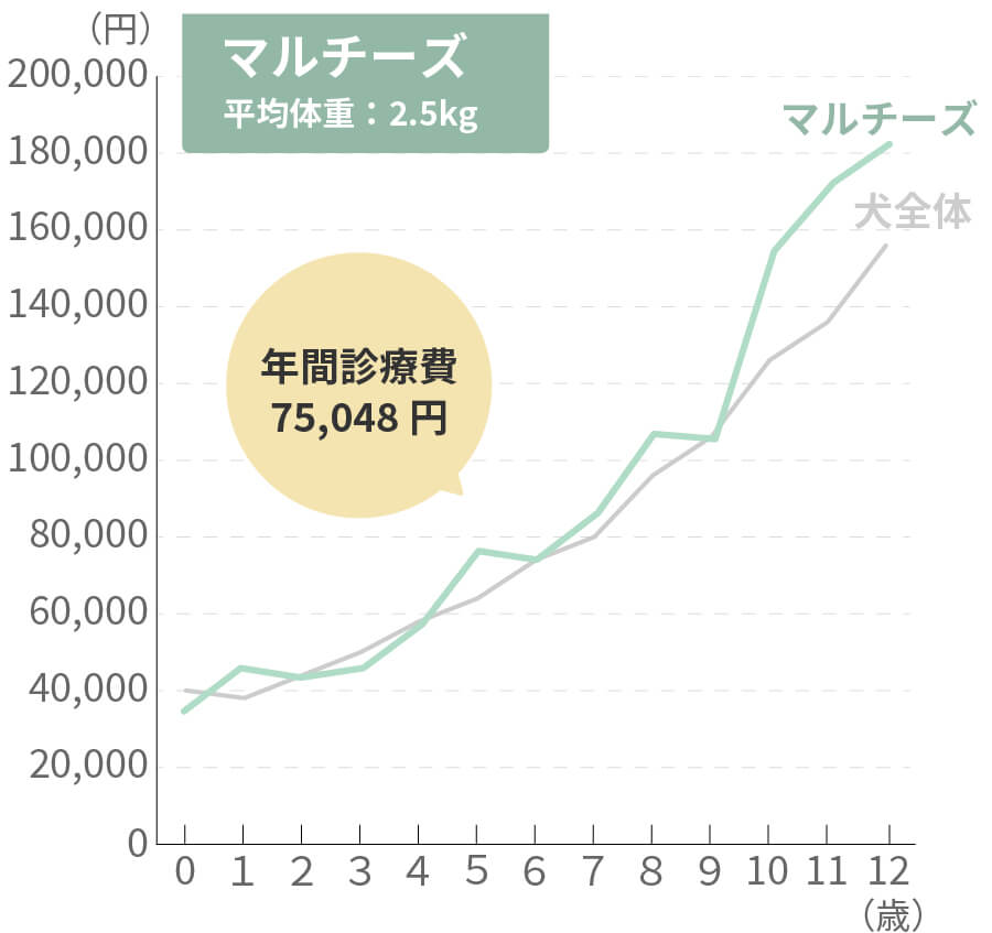 マルチーズの生涯治療費