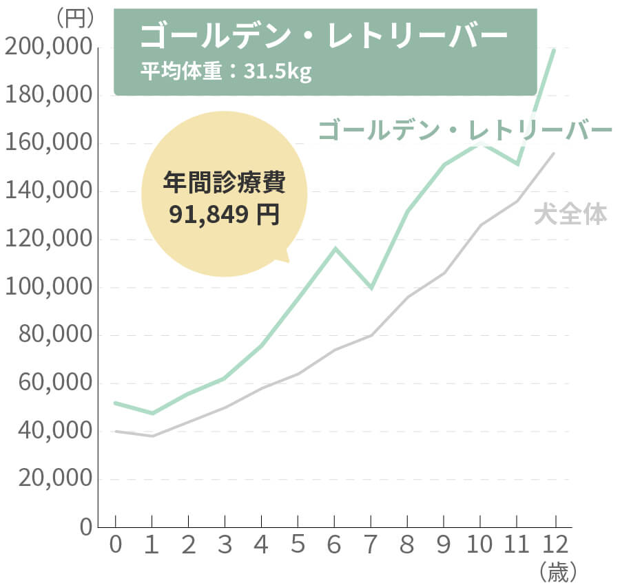 ゴールデン・レトリーバーの生涯治療費