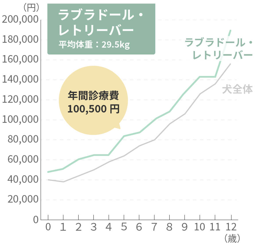 ラブラドール・レトリーバーの生涯治療費