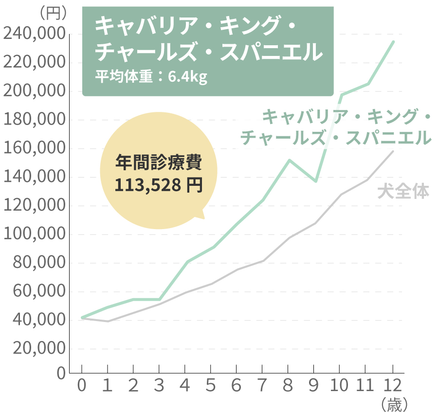 キャバリア・キング・チャールズ・スパニエルの生涯治療費