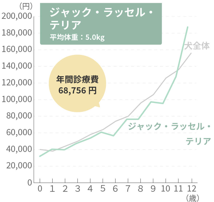 ジャック・ラッセル・テリアの生涯治療費