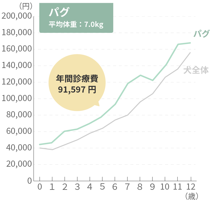 パグの生涯治療費
