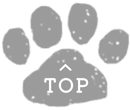 TOPへ戻る
